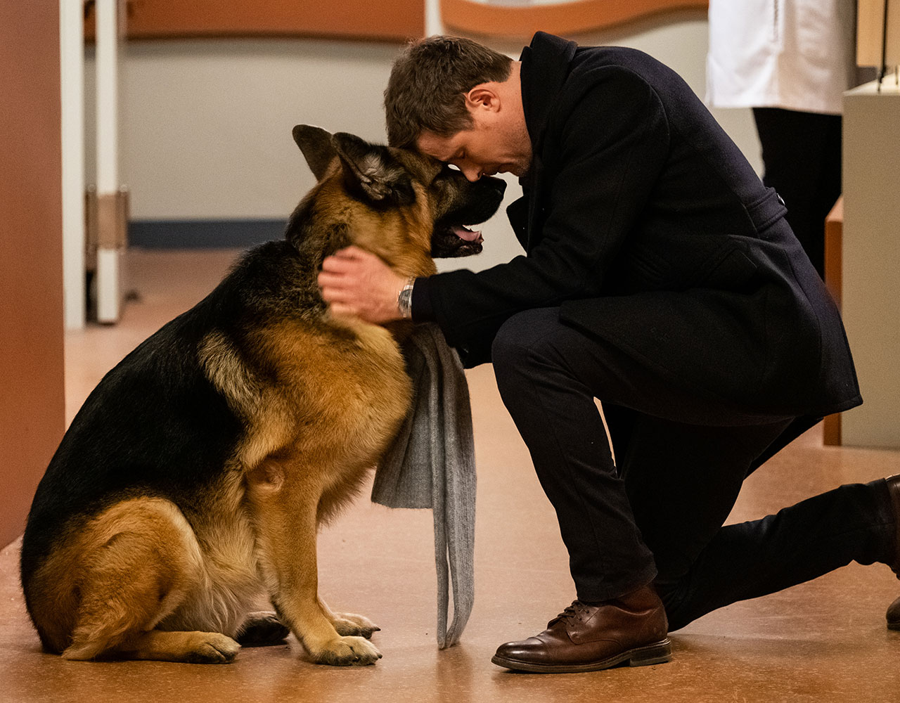 German Shepherd Rex and Detective Charlie Hudson (John Reardon) from Hudson & Rex